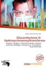Image for Glucarolactone O-Hydroxycinnamoyltransferase
