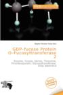 Image for Gdp-Fucose Protein O-Fucosyltransferase 2