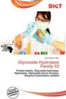 Image for Glycoside Hydrolase Family 53