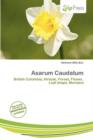 Image for Asarum Caudatum