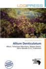 Image for Allium Denticulatum