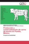 Image for Produccion y comercializacion de carne de bovino en Puebla, Mexico.