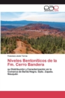 Image for Niveles Bentoniticos de la Fm. Cerro Bandera