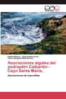 Image for Asociaciones algales del pedraplen Caibarien - Cayo Santa Maria,
