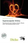 Image for Suprascapular Artery