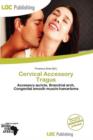 Image for Cervical Accessory Tragus