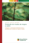 Image for Producao de mudas de mogno e cedro