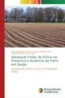 Image for Adubacao Foliar de Silicio na Presenca e Ausencia de Ferro em Sorgo