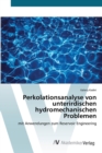 Image for Perkolationsanalyse von unterirdischen hydromechanischen Problemen
