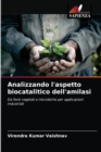Image for Analizzando l&#39;aspetto biocatalitico dell&#39;amilasi
