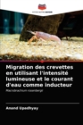 Image for Migration des crevettes en utilisant l&#39;intensite lumineuse et le courant d&#39;eau comme inducteur