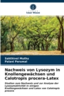 Image for Nachweis von Lysozym in Knollengewachsen und Calotropis procera-Latex