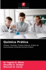 Image for Quimica Pratica