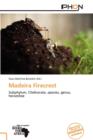 Image for Madeira Firecrest
