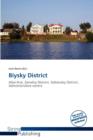 Image for Biysky District