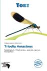 Image for Triodia Amasinus