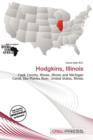 Image for Hodgkins, Illinois