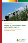 Image for Manejo de irrigacao para milho safrinha (Zea mays L.)