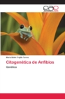 Image for Citogenetica de Anfibios