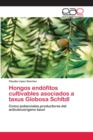 Image for Hongos endofitos cultivables asociados a taxus Globosa Schltdl