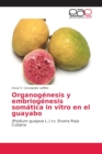 Image for Organogenesis y embriogenesis somatica in vitro en el guayabo