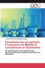 Image for Pseudomonas aeruginosa Productora de Metalo-ß-Lactamasas en Quemados