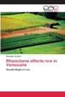 Image for Rhizoctonia affects rice in Venezuela