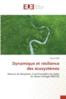 Image for Dynamique et resilience des ecosystemes