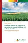 Image for Fluxo de dioxido de carbono e as variaveis meteorologicas na cultura do milho