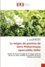 Image for La teigne de pomme de terre Phthorimaea operculella Zeller
