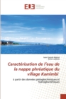 Image for Caracterisation de l&#39;eau de la nappe phreatique du village Kamimbi