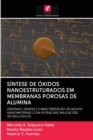 Image for Sintese de Oxidos Nanoestruturados Em Membranas Porosas de Alumina