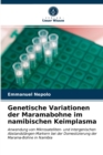Image for Genetische Variationen der Maramabohne im namibischen Keimplasma