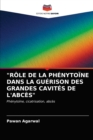 Image for &quot;Role de la Phenytoine Dans La Guerison Des Grandes Cavites de l&#39;Abces&quot;