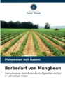 Image for Borbedarf von Mungbean