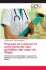 Image for Proceso de atencion de enfermeria en caso pediatrico de tumor de Wilms