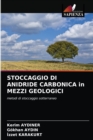 Image for STOCCAGGIO DI ANIDRIDE CARBONICA in MEZZI GEOLOGICI