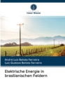 Image for Elektrische Energie in brasilianischen Feldern