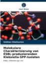 Image for Molekulare Charakterisierung von ESBL-produzierenden Klebsiella-SPP-Isolaten