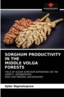 Image for Sorghum Productivity in Themiddle Volgaforests