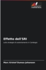 Image for Effetto dell&#39;SRI