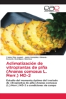 Image for Aclimatizacion de vitroplantas de pina (Ananas comosus L. Merr.) MD-2