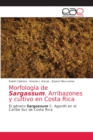 Image for Morfologia de Sargassum. Arribazones y cultivo en Costa Rica