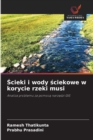 Image for Scieki i wody sciekowe w korycie rzeki musi