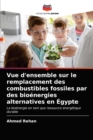 Image for Vue d&#39;ensemble sur le remplacement des combustibles fossiles par des bioenergies alternatives en Egypte