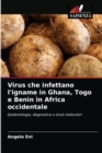 Image for Virus che infettano l&#39;igname in Ghana, Togo e Benin in Africa occidentale