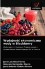Image for Wydajnosc ekonomiczna wody w Blackberry