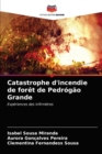 Image for Catastrophe d&#39;incendie de foret de Pedrogao Grande
