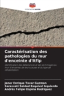 Image for Caracterisation des pathologies du mur d&#39;enceinte d&#39;Itfip