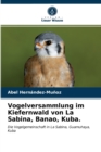 Image for Vogelversammlung im Kiefernwald von La Sabina, Banao, Kuba.
